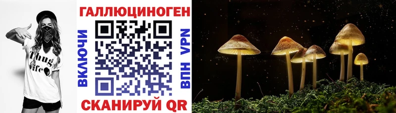 kraken ТОР  Горно-Алтайск  Галлюциногенные грибы Magic Shrooms  дарк нет формула  даркнет сайт 