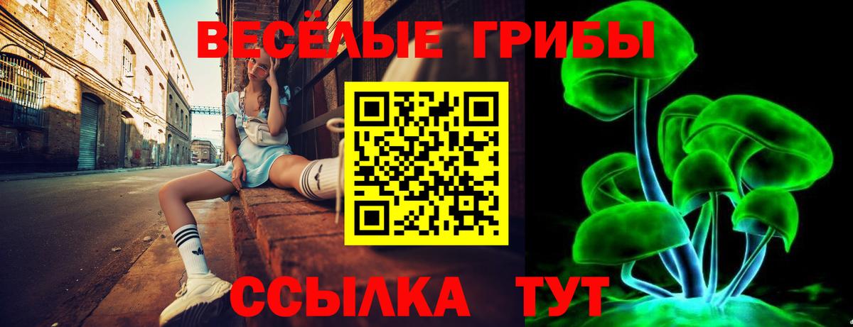 Псилоцибиновые грибы Psilocybine cubensis  Вход с VPN  Горно-Алтайск 