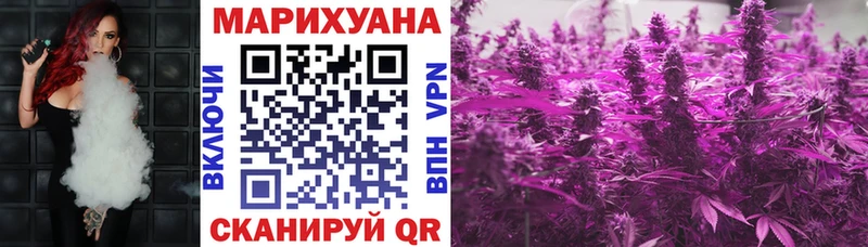 продажа наркотиков  Горно-Алтайск  площадка как зайти  Марихуана сатива 